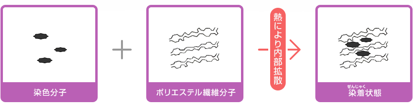 ポリエステルの染色