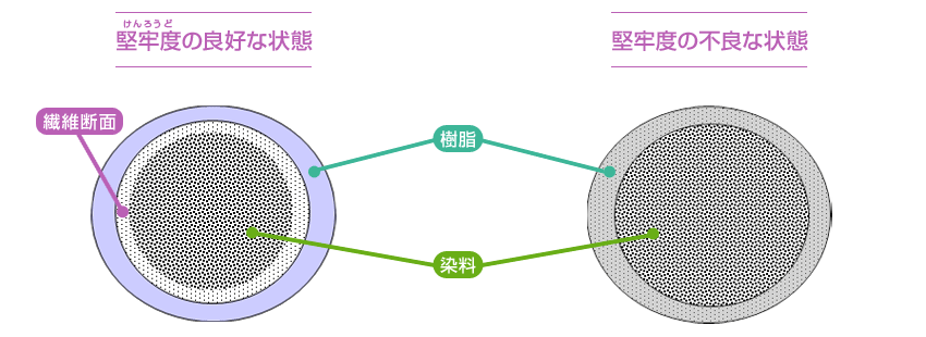 濃度と堅牢度について